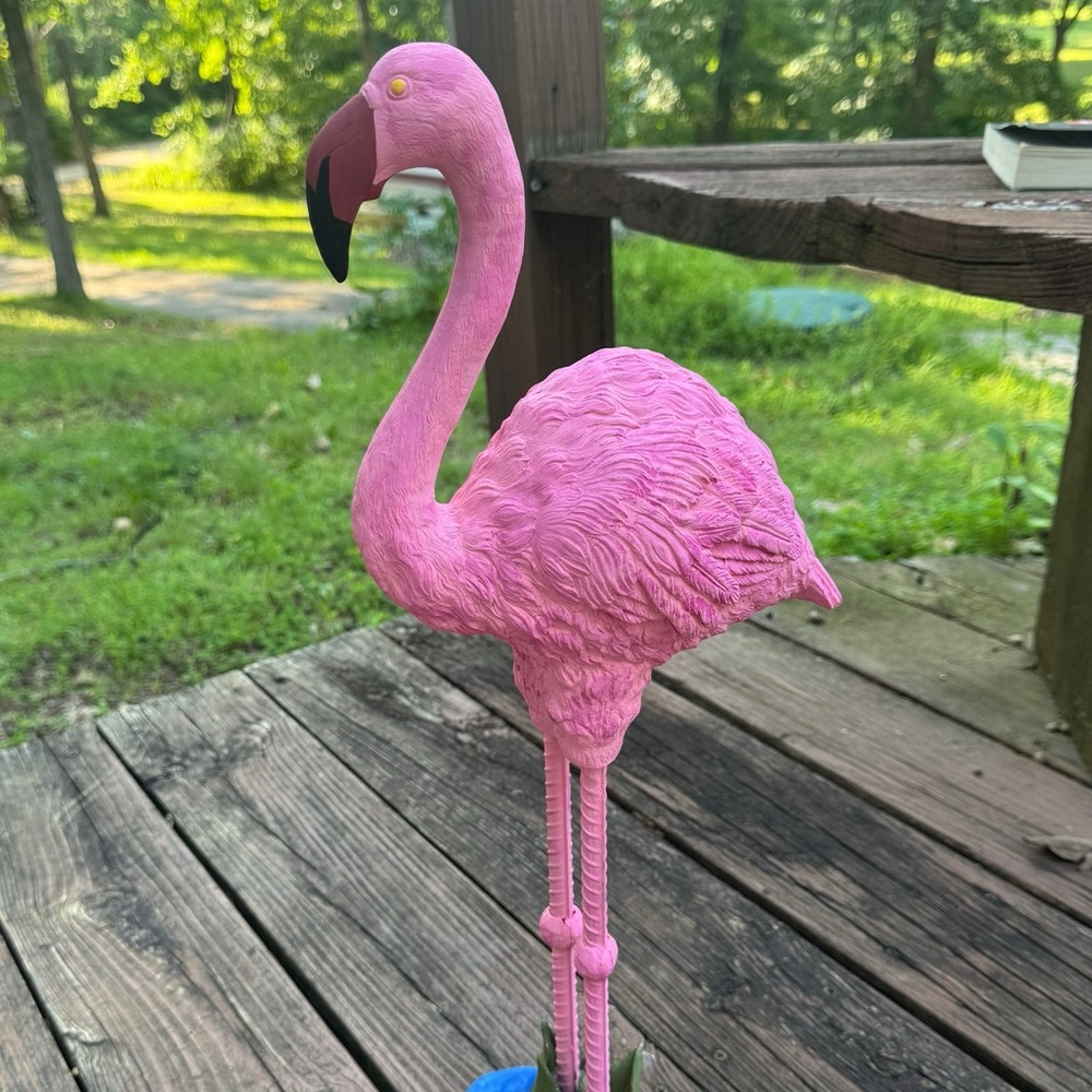 Meet your Posher, Daisy